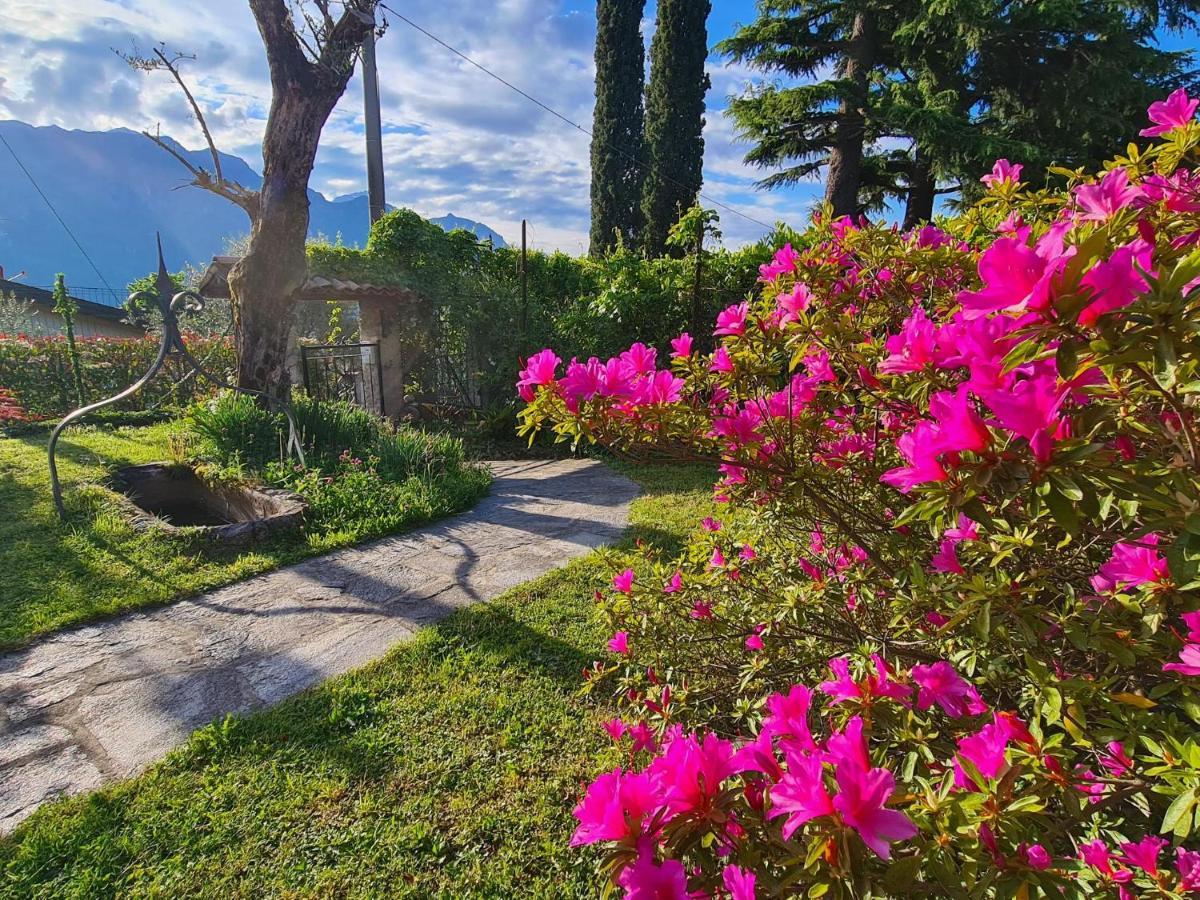 Appartamenti Casa La Rosa Bellagio Bagian luar foto